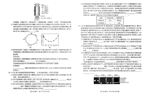 生物试卷-江西省2026届上进稳派联考高三11月一轮复习阶段检测_251114江西省2026届上进稳派联考高三11月一轮复习阶段检测（全科）
