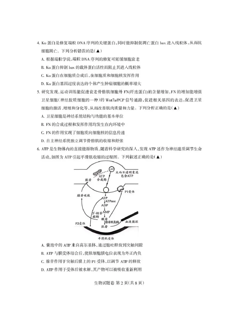 四川省凉山州2026届高中毕业班第一次诊断性考试生物_2025年12月_251220四川省凉山州2026届高中毕业班第一次诊断性考试（凉山州一诊）（全科）