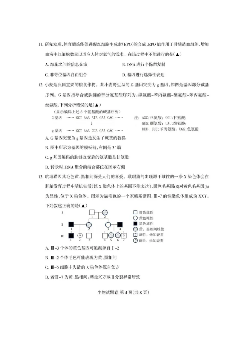 四川省凉山州2026届高中毕业班第一次诊断性考试生物_2025年12月_251220四川省凉山州2026届高中毕业班第一次诊断性考试（凉山州一诊）（全科）