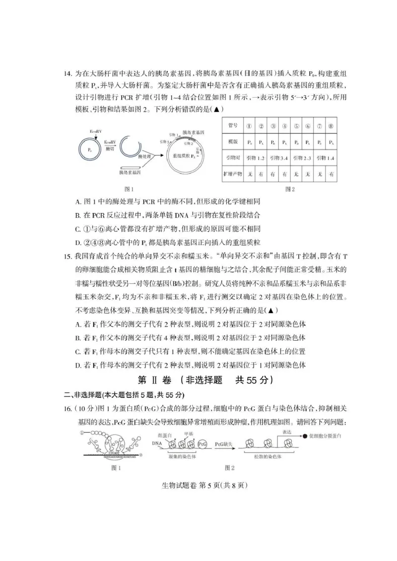 四川省凉山州2026届高中毕业班第一次诊断性考试生物_2025年12月_251220四川省凉山州2026届高中毕业班第一次诊断性考试（凉山州一诊）（全科）