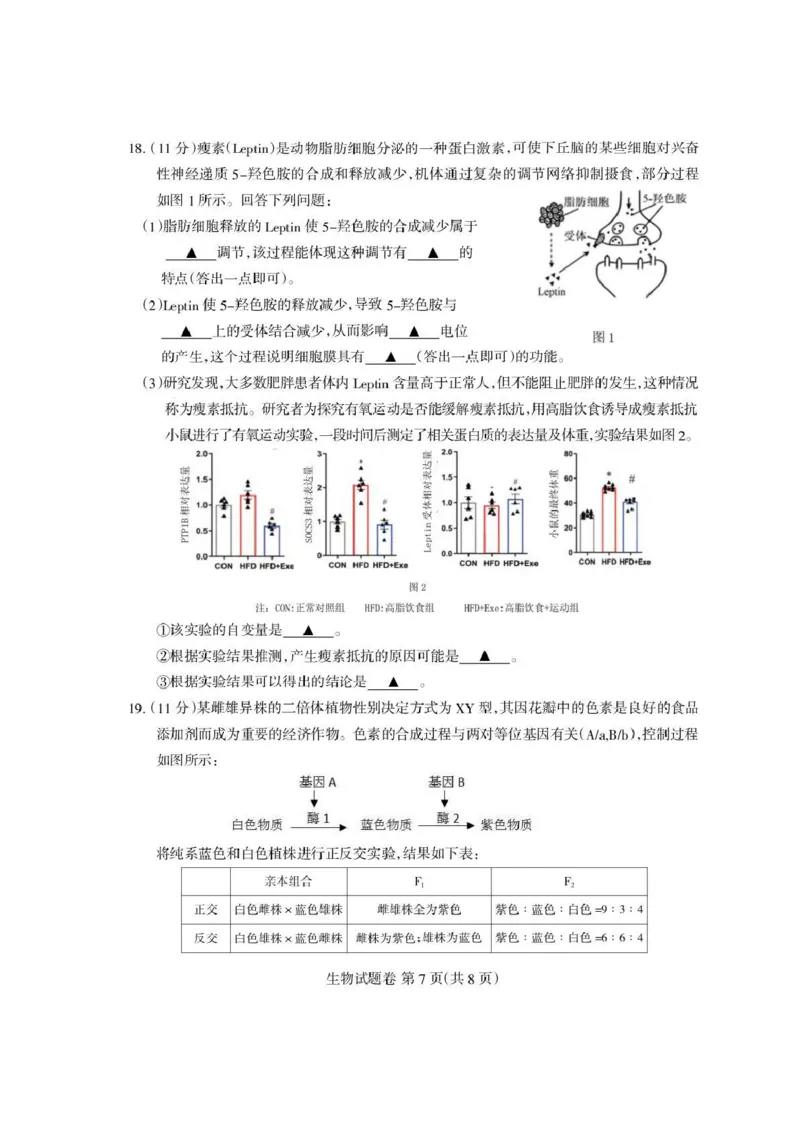 四川省凉山州2026届高中毕业班第一次诊断性考试生物_2025年12月_251220四川省凉山州2026届高中毕业班第一次诊断性考试（凉山州一诊）（全科）