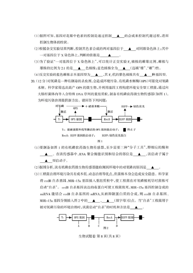四川省凉山州2026届高中毕业班第一次诊断性考试生物_2025年12月_251220四川省凉山州2026届高中毕业班第一次诊断性考试（凉山州一诊）（全科）