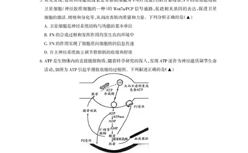 四川省凉山州2026届高中毕业班第一次诊断性考试生物_2025年12月_251220四川省凉山州2026届高中毕业班第一次诊断性考试（凉山州一诊）（全科）