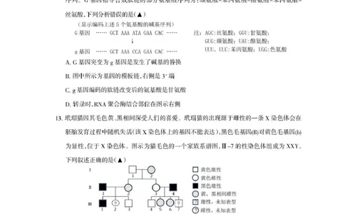 四川省凉山州2026届高中毕业班第一次诊断性考试生物_2025年12月_251220四川省凉山州2026届高中毕业班第一次诊断性考试（凉山州一诊）（全科）