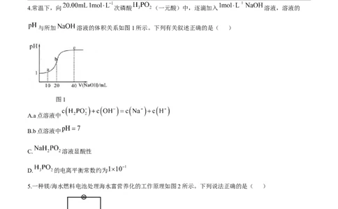 2024届广东省大亚湾区普通高中毕业年级高三1月份联合模拟考试（一）化学试卷_2024届广东省大湾区高三上学期联合模拟考试（一）_广东省大湾区2024届高三上学期联合模拟考试（一）化学