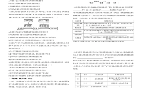 2025届高考生物学热点核心卷新高考卷二_2025年6月_2506022025届高考生物学热点核心卷新高考卷_2025届高考生物学热点核心卷新高考卷二（含解析）