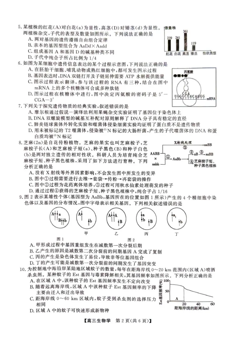 2025年榆林市高三生物联考试卷_2025年12月_2512132025-2026学年高三12月联考_2025-2026高三12月联考生物试卷（含答案）