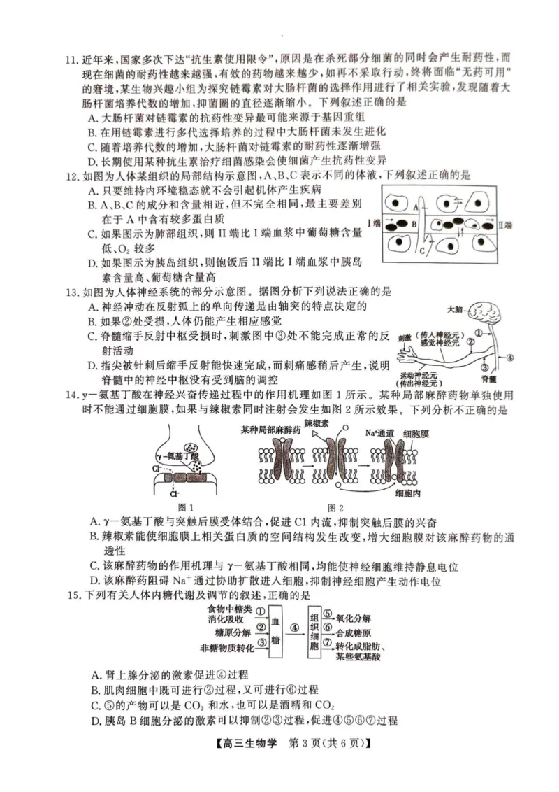 2025年榆林市高三生物联考试卷_2025年12月_2512132025-2026学年高三12月联考_2025-2026高三12月联考生物试卷（含答案）