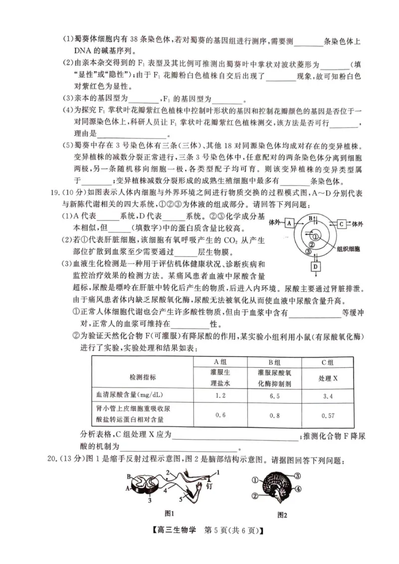 2025年榆林市高三生物联考试卷_2025年12月_2512132025-2026学年高三12月联考_2025-2026高三12月联考生物试卷（含答案）