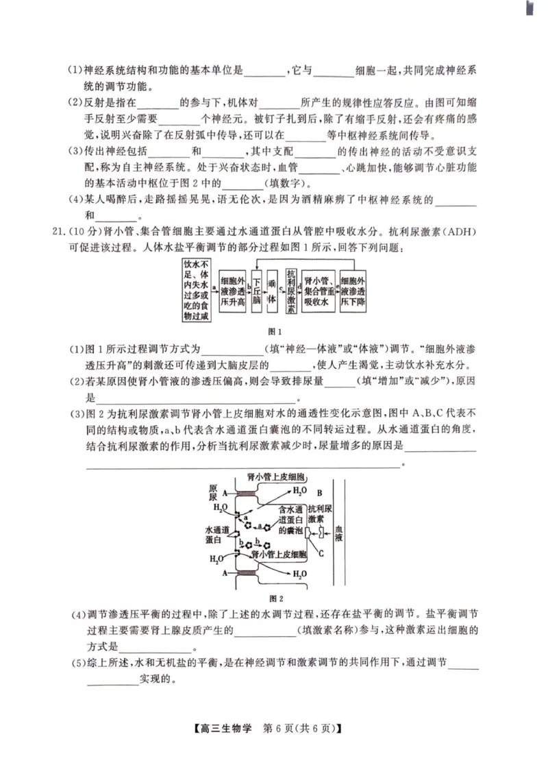 2025年榆林市高三生物联考试卷_2025年12月_2512132025-2026学年高三12月联考_2025-2026高三12月联考生物试卷（含答案）