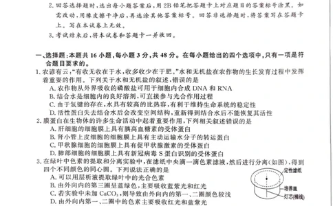 2025年榆林市高三生物联考试卷_2025年12月_2512132025-2026学年高三12月联考_2025-2026高三12月联考生物试卷（含答案）