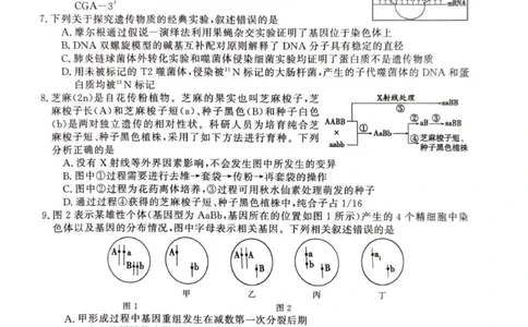2025年榆林市高三生物联考试卷_2025年12月_2512132025-2026学年高三12月联考_2025-2026高三12月联考生物试卷（含答案）
