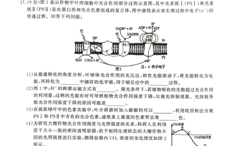 2025年榆林市高三生物联考试卷_2025年12月_2512132025-2026学年高三12月联考_2025-2026高三12月联考生物试卷（含答案）