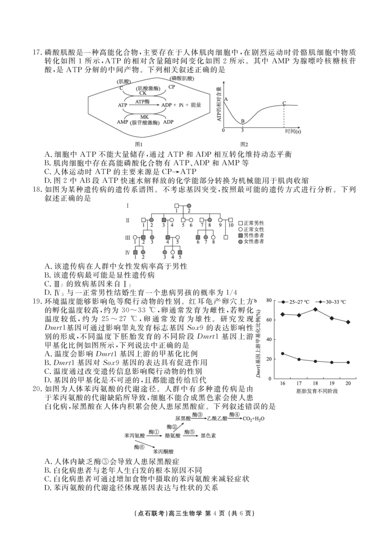 点石联考2025&mdash;2026学年度上学期高三年级11月份联合考试生物_251112辽宁省点石联考2025&mdash;2026学年度上学期高三年级11月份联合考试（全科）