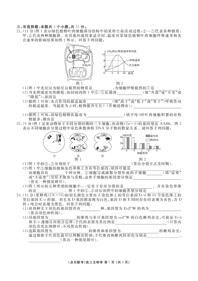 点石联考2025&mdash;2026学年度上学期高三年级11月份联合考试生物_251112辽宁省点石联考2025&mdash;2026学年度上学期高三年级11月份联合考试（全科）