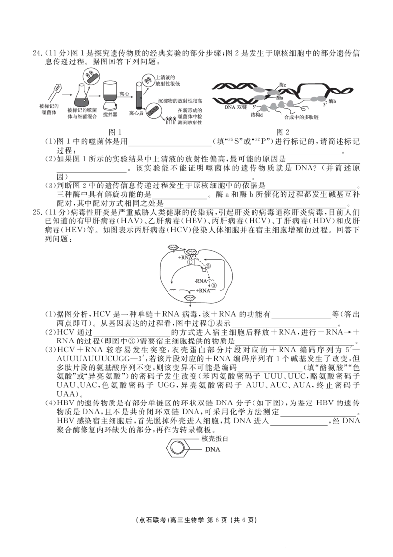 点石联考2025&mdash;2026学年度上学期高三年级11月份联合考试生物_251112辽宁省点石联考2025&mdash;2026学年度上学期高三年级11月份联合考试（全科）