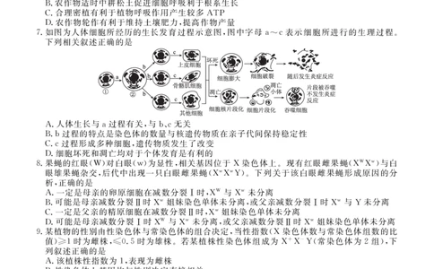 点石联考2025&mdash;2026学年度上学期高三年级11月份联合考试生物_251112辽宁省点石联考2025&mdash;2026学年度上学期高三年级11月份联合考试（全科）