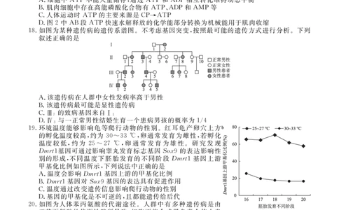 点石联考2025&mdash;2026学年度上学期高三年级11月份联合考试生物_251112辽宁省点石联考2025&mdash;2026学年度上学期高三年级11月份联合考试（全科）