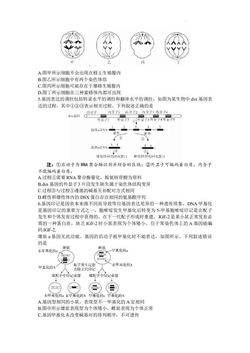 2024届湖南省邵阳市高三第一次联考（邵阳一模）生物(1)_2024年1月_021月合集_2024届湖南省邵阳市高三第一次联考（邵阳一模）