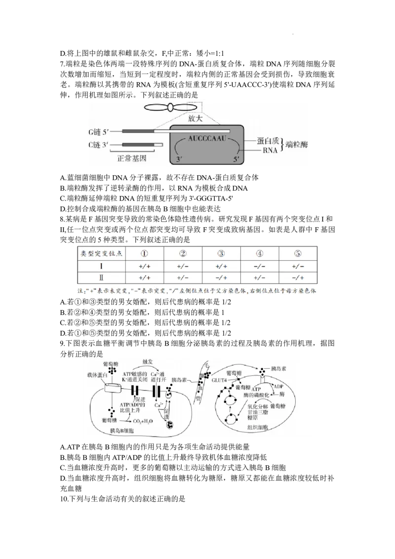 2024届湖南省邵阳市高三第一次联考（邵阳一模）生物(1)_2024年1月_021月合集_2024届湖南省邵阳市高三第一次联考（邵阳一模）