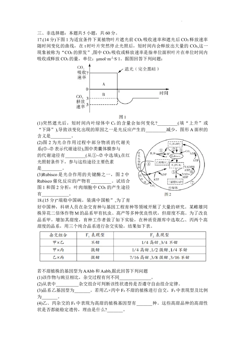 2024届湖南省邵阳市高三第一次联考（邵阳一模）生物(1)_2024年1月_021月合集_2024届湖南省邵阳市高三第一次联考（邵阳一模）
