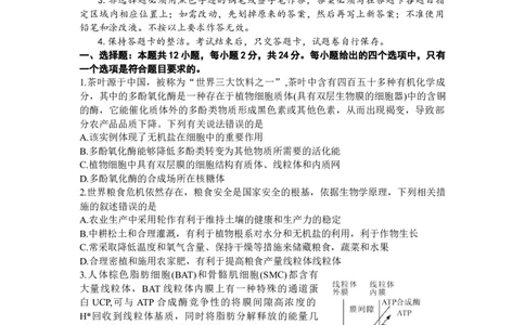 2024届湖南省邵阳市高三第一次联考（邵阳一模）生物(1)_2024年1月_021月合集_2024届湖南省邵阳市高三第一次联考（邵阳一模）