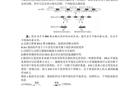2024届湖南省邵阳市高三第一次联考（邵阳一模）生物(1)_2024年1月_021月合集_2024届湖南省邵阳市高三第一次联考（邵阳一模）