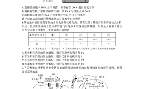2024届湖南省邵阳市高三第一次联考（邵阳一模）生物(1)_2024年1月_021月合集_2024届湖南省邵阳市高三第一次联考（邵阳一模）