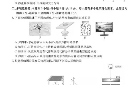 广东省清远市2024-2025学年高二下学期期末物理试题+答案_2025年6月_250629广东省清远市2024-2025学年高二下学期6月期末考试（全科）