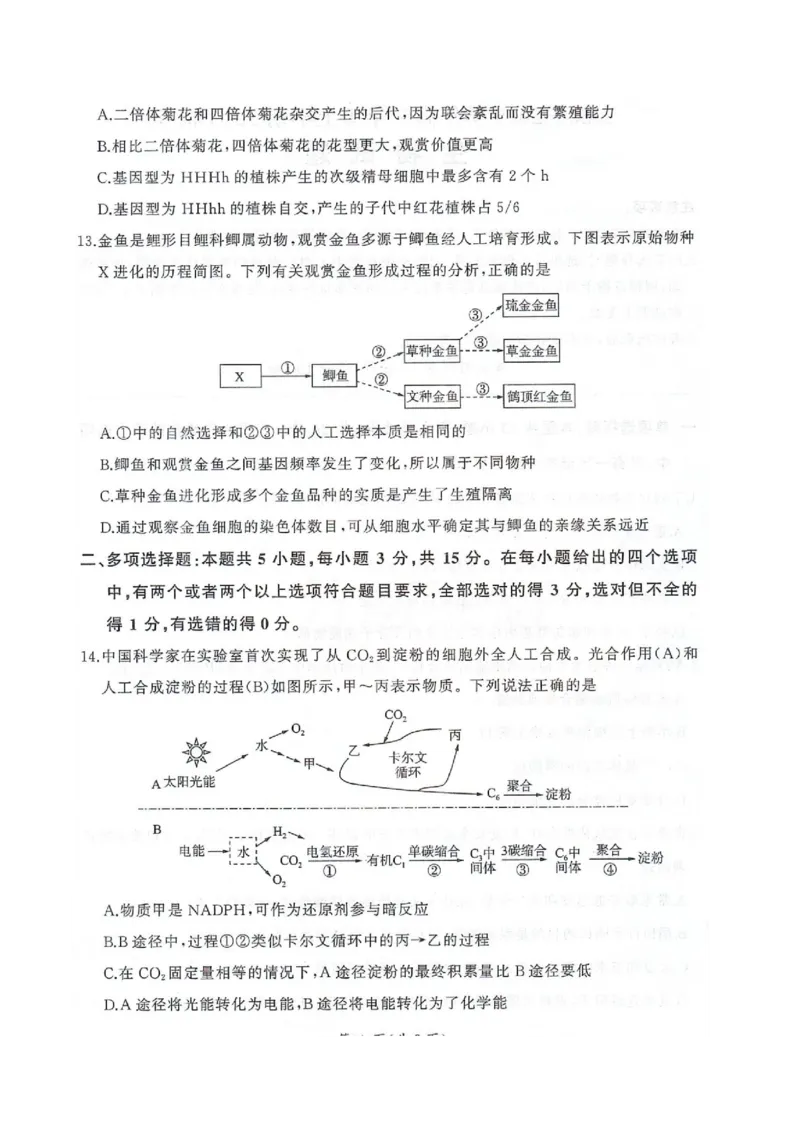 河北省邢台市卓越联盟2026届高三上学期12月联考生物试卷（图片版，含解析）_2025年12月_251206河北省邢台市卓越联盟2025-2026学年高三上学期12月联考（全科）
