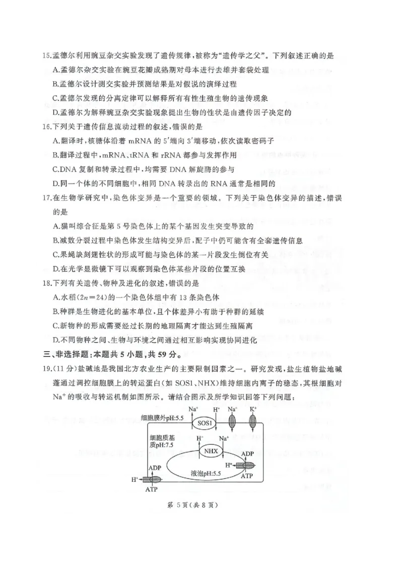 河北省邢台市卓越联盟2026届高三上学期12月联考生物试卷（图片版，含解析）_2025年12月_251206河北省邢台市卓越联盟2025-2026学年高三上学期12月联考（全科）