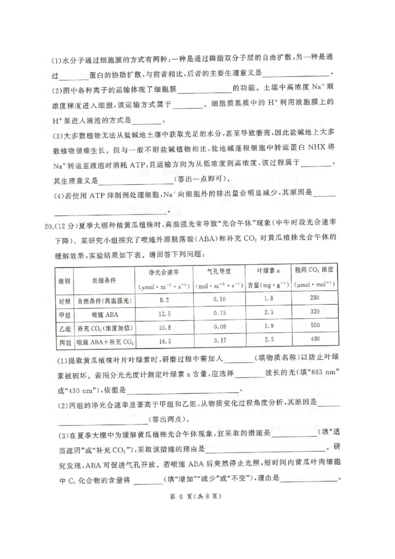 河北省邢台市卓越联盟2026届高三上学期12月联考生物试卷（图片版，含解析）_2025年12月_251206河北省邢台市卓越联盟2025-2026学年高三上学期12月联考（全科）