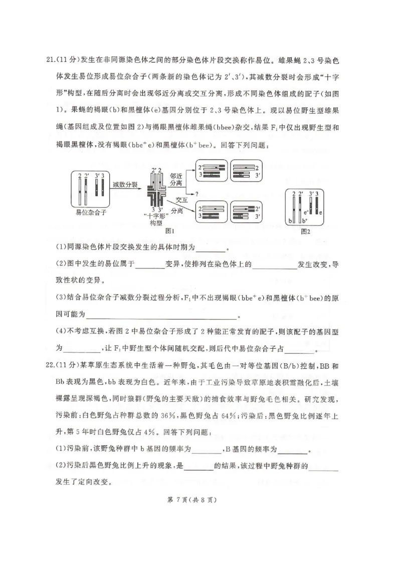 河北省邢台市卓越联盟2026届高三上学期12月联考生物试卷（图片版，含解析）_2025年12月_251206河北省邢台市卓越联盟2025-2026学年高三上学期12月联考（全科）