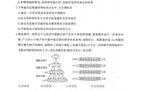 河北省邢台市卓越联盟2026届高三上学期12月联考生物试卷（图片版，含解析）_2025年12月_251206河北省邢台市卓越联盟2025-2026学年高三上学期12月联考（全科）