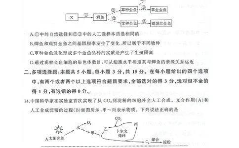 河北省邢台市卓越联盟2026届高三上学期12月联考生物试卷（图片版，含解析）_2025年12月_251206河北省邢台市卓越联盟2025-2026学年高三上学期12月联考（全科）