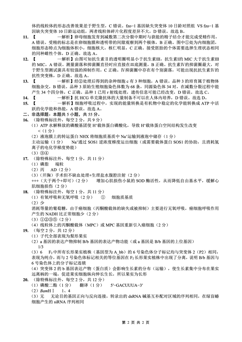 26一中10月生物答案_251104重庆市第一中学校2025-2026学年高三上学期10月月考（全科）