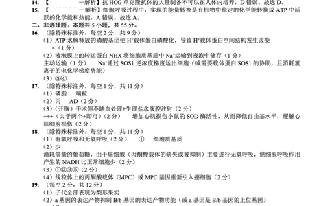 26一中10月生物答案_251104重庆市第一中学校2025-2026学年高三上学期10月月考（全科）