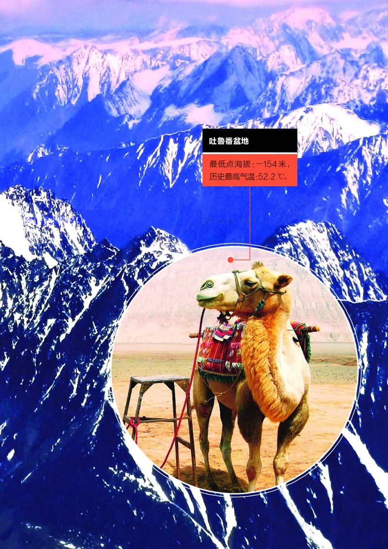 浙教版7年级数学上册高清教材_4-教培资料-26年最新资料-同步更新_初中高中教资_03科三专项（进去保存报考的学科即可）_02科三专项（笔记真题思维导图教学设计版本二）