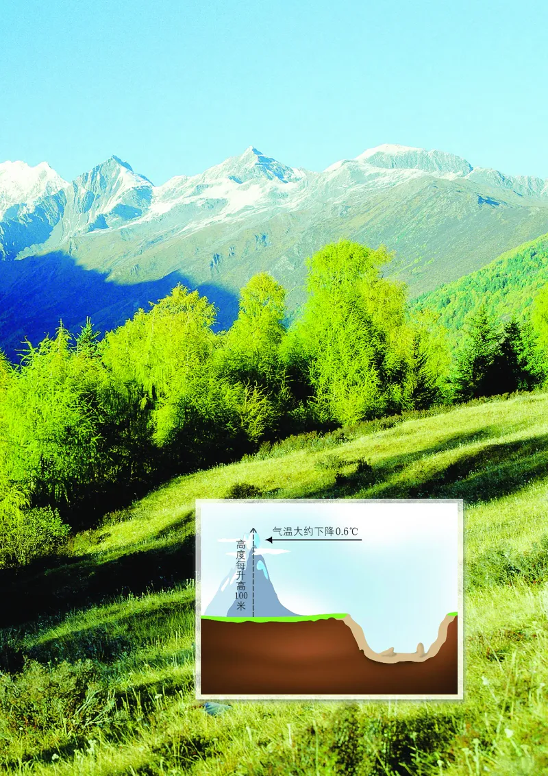 浙教版7年级数学上册高清教材_4-教培资料-26年最新资料-同步更新_初中高中教资_03科三专项（进去保存报考的学科即可）_02科三专项（笔记真题思维导图教学设计版本二）