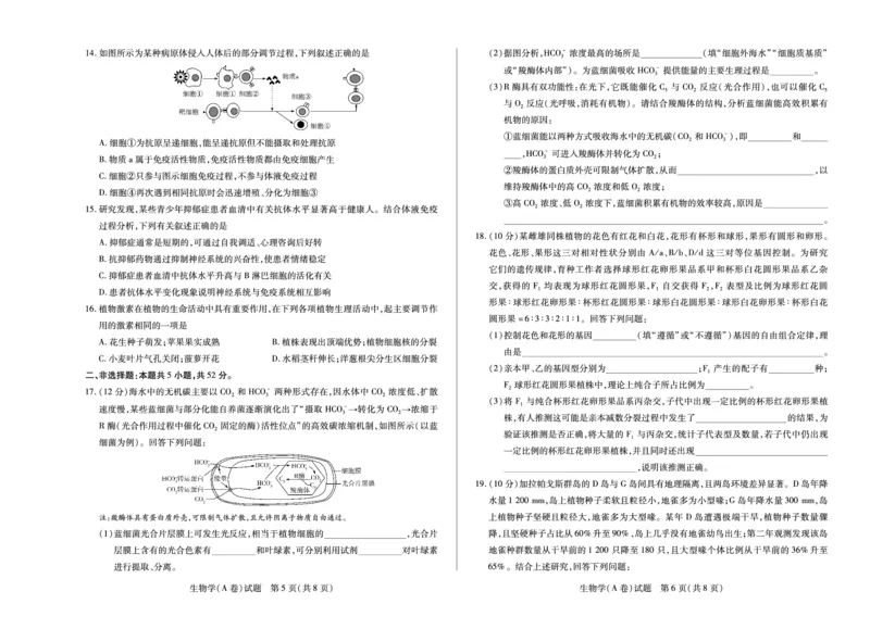 天一大联考&middot;2025-2026学年（上）高三年级天一小高考（二）生物(A卷)_251113天一大联考&middot;河南省、陕西省2025-2026学年（上）高三年级天一小高考（二）（全科）