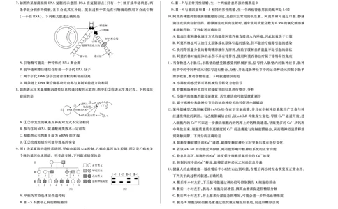 天一大联考&middot;2025-2026学年（上）高三年级天一小高考（二）生物(A卷)_251113天一大联考&middot;河南省、陕西省2025-2026学年（上）高三年级天一小高考（二）（全科）