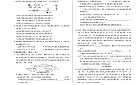 天一大联考&middot;2025-2026学年（上）高三年级天一小高考（二）生物(A卷)_251113天一大联考&middot;河南省、陕西省2025-2026学年（上）高三年级天一小高考（二）（全科）