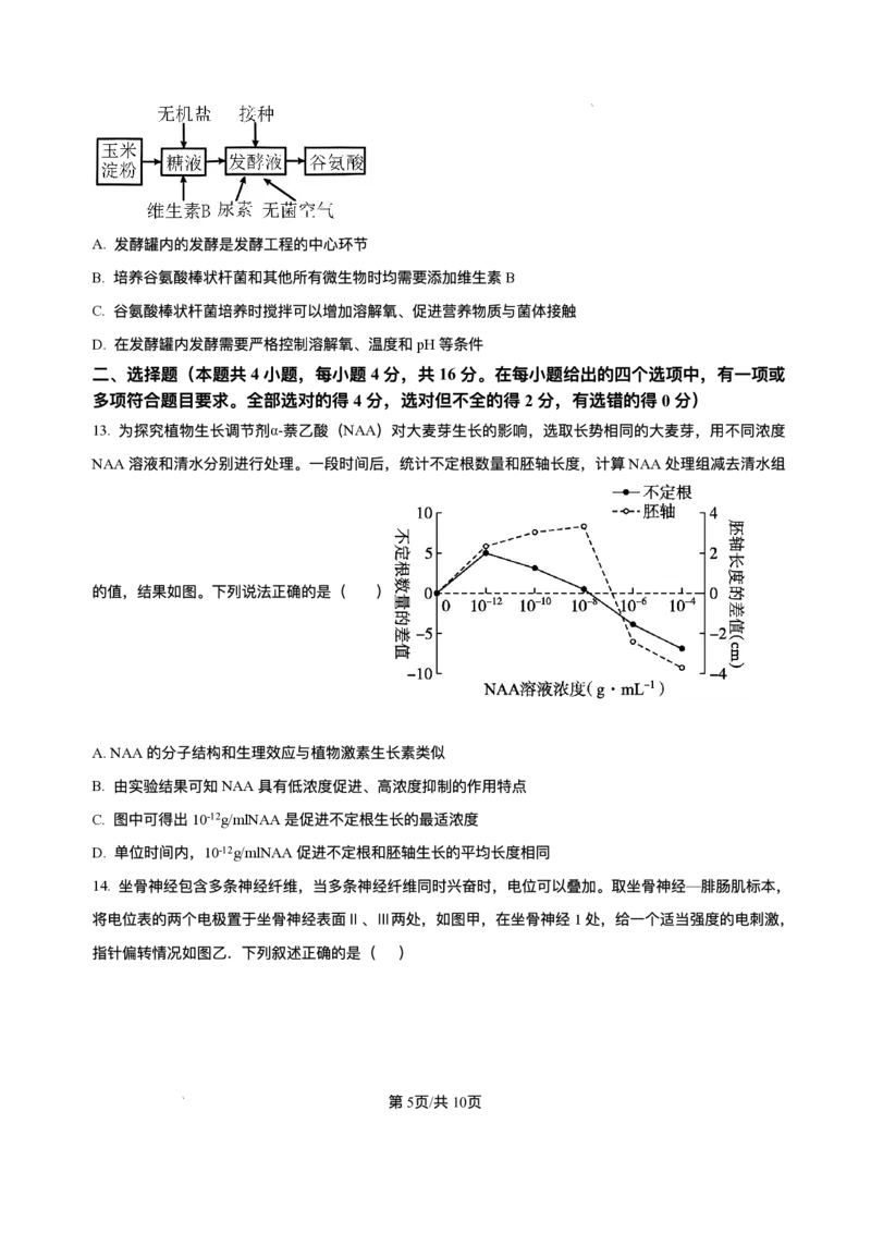 湖南省长沙市雅礼中学2024-2025学年高二上学期期末考试生物试题+解析_2025年7月_250703湖南省长沙市雅礼中学2024-2025学年高二下学期6月期末（全科）