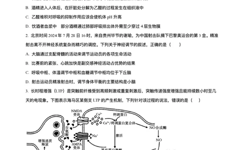 湖南省长沙市雅礼中学2024-2025学年高二上学期期末考试生物试题+解析_2025年7月_250703湖南省长沙市雅礼中学2024-2025学年高二下学期6月期末（全科）
