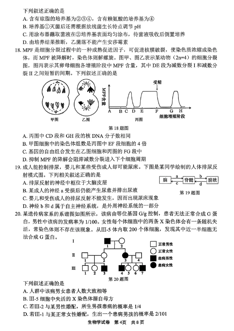 宁波高三一模生物试卷_251107浙江省宁波市2026届高三一模考试（全科）_浙江省宁波市2026届高三一模考试生物试卷（含答案）