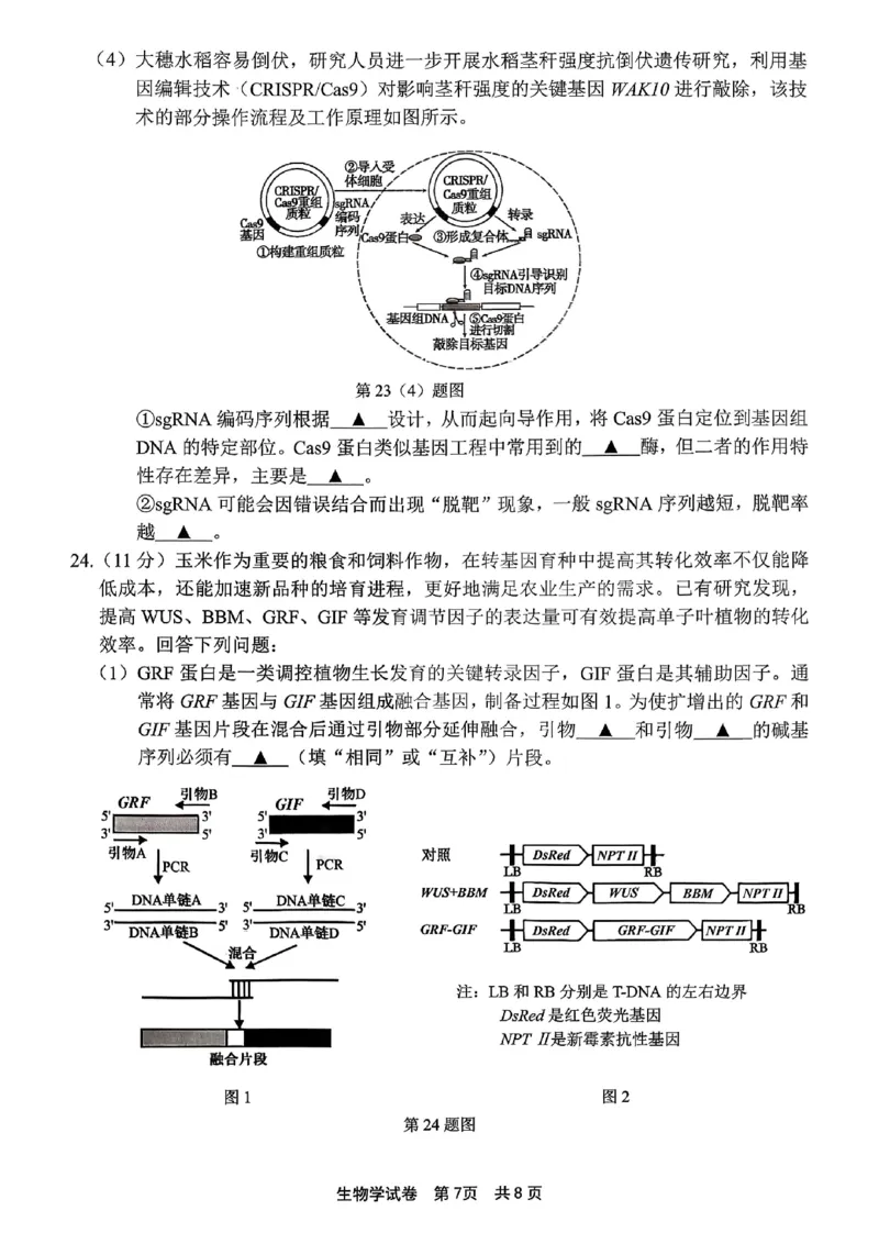 宁波高三一模生物试卷_251107浙江省宁波市2026届高三一模考试（全科）_浙江省宁波市2026届高三一模考试生物试卷（含答案）