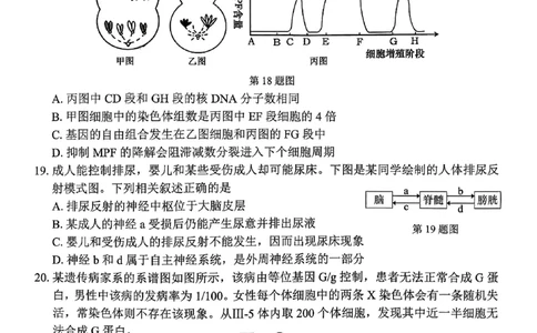 宁波高三一模生物试卷_251107浙江省宁波市2026届高三一模考试（全科）_浙江省宁波市2026届高三一模考试生物试卷（含答案）