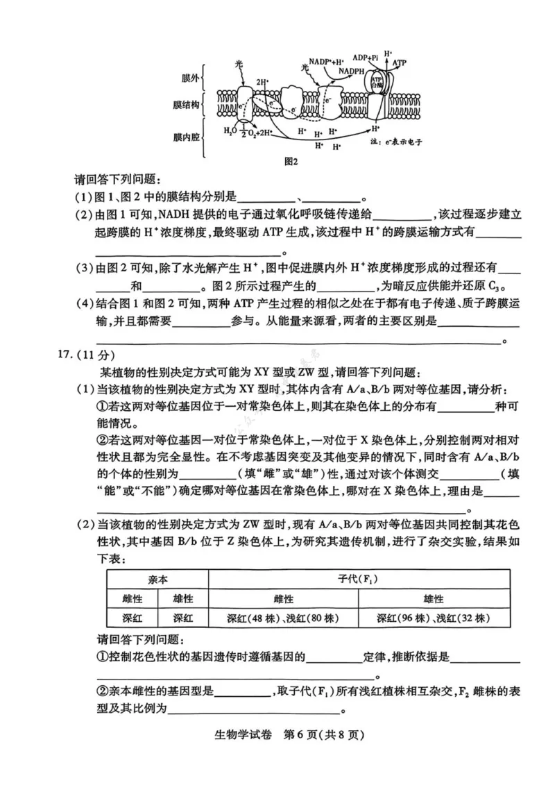 安徽省滁州市2024-2025学年高二下学期期末教学质量监测生物试题（含答案）_2025年7月_250730安徽省滁州市2024-2025学年高二下学期期末考试