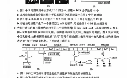 安徽省滁州市2024-2025学年高二下学期期末教学质量监测生物试题（含答案）_2025年7月_250730安徽省滁州市2024-2025学年高二下学期期末考试