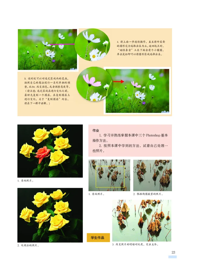 沪教版9年级美术下册高清教材_4-教培资料-26年最新资料-同步更新_初中高中教资_03科三专项（进去保存报考的学科即可）_02科三专项（笔记真题思维导图教学设计版本二）